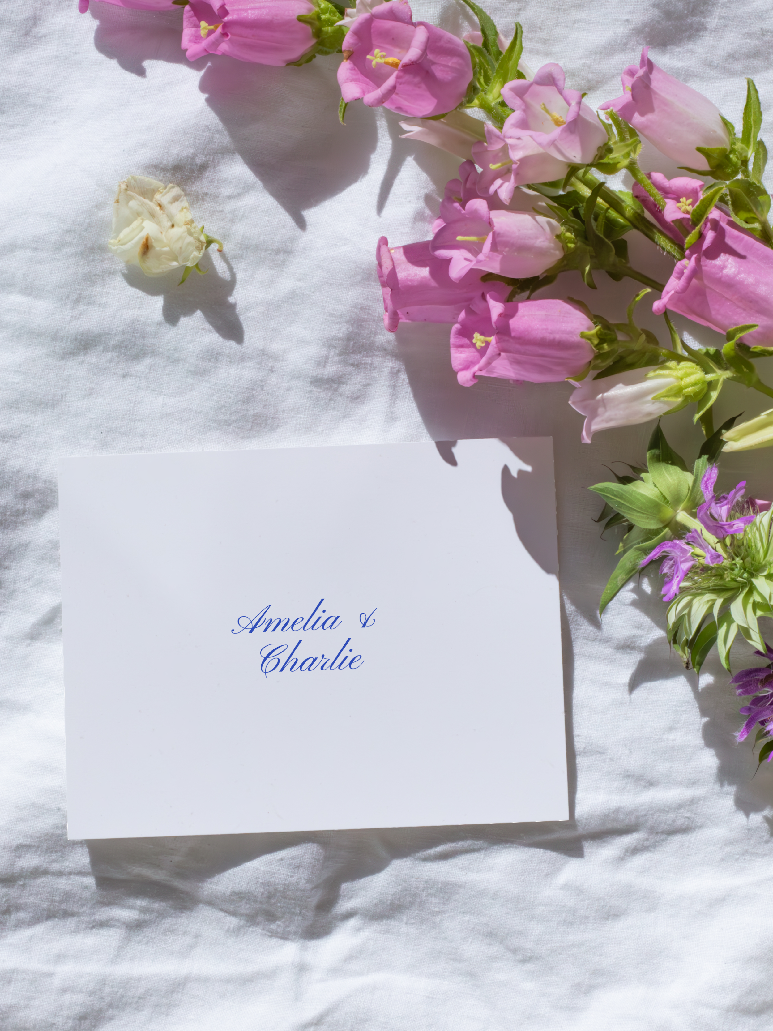 The PALM SPRINGS Invitation 10-Piece Suite